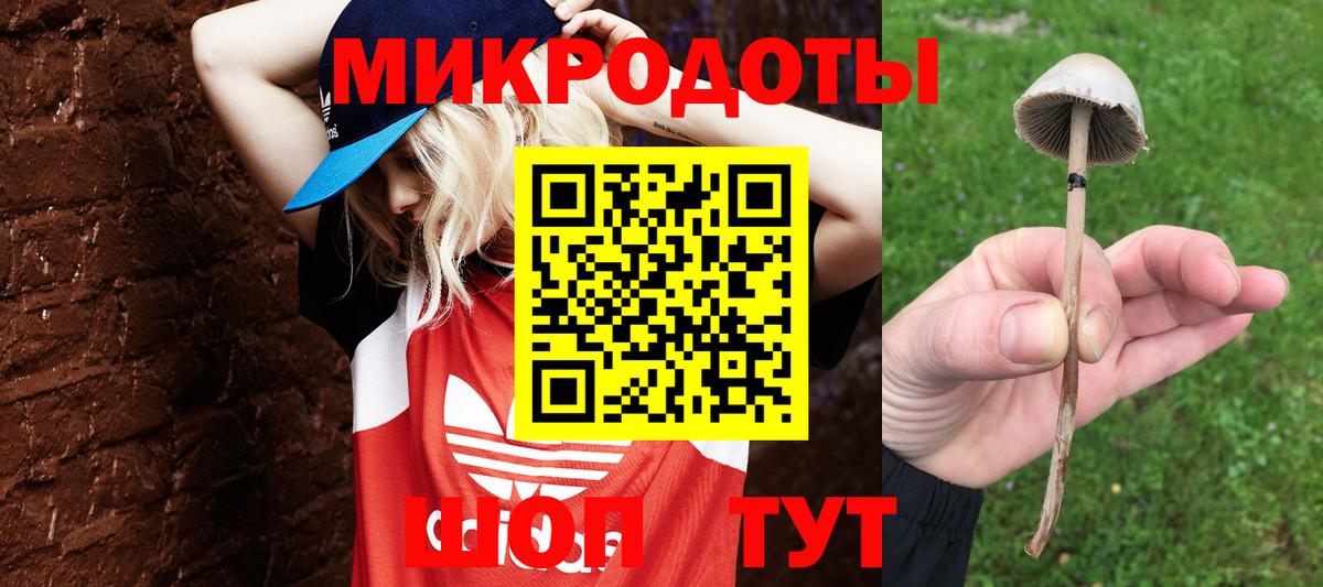 Галлюциногенные грибы прущие грибы Спасск-Дальний